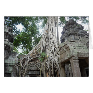 ta prohm roots