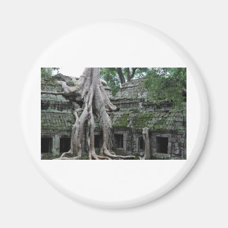 ta prohm temple  in cambodia magnet