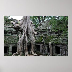 ta prohm temple in cambodia poster