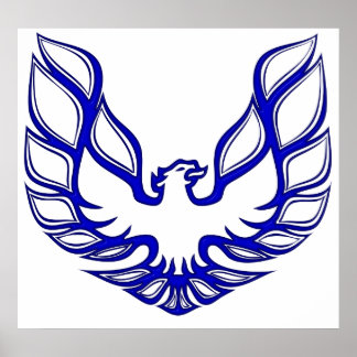 TA-SE-Blue Poster White