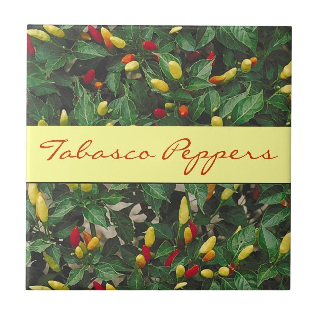 Tabasco Peppers Hot Chili Red Yellow Pepper Plant Tile (Front)