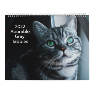 Tabbis gris adorable Calendrier 2022