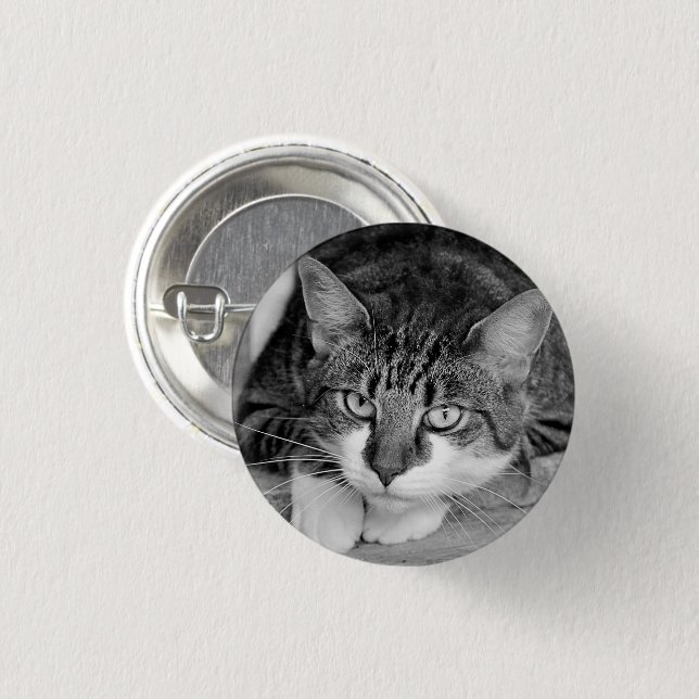 Tabby and White Cat Face 1 Inch Round Button (Front & Back)