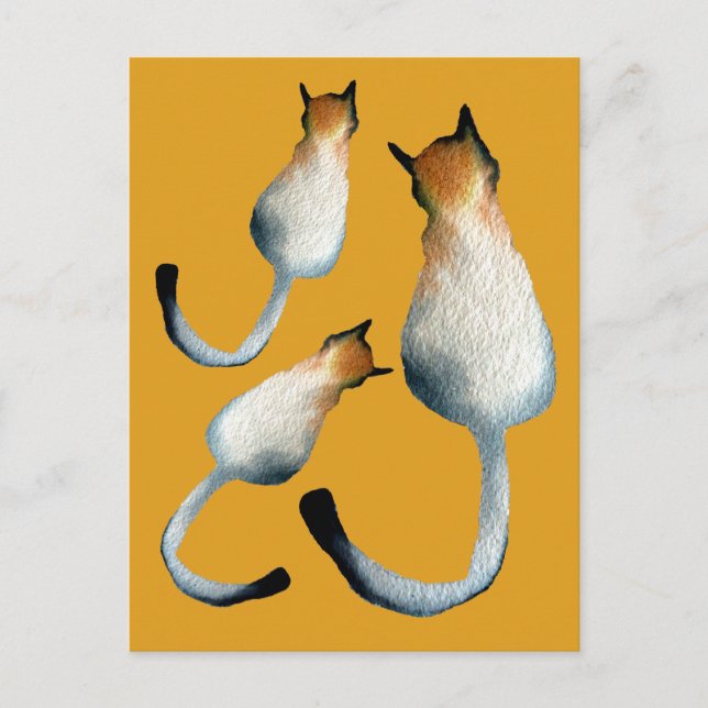 Tabby black and brown cat illustration postcard (Front)