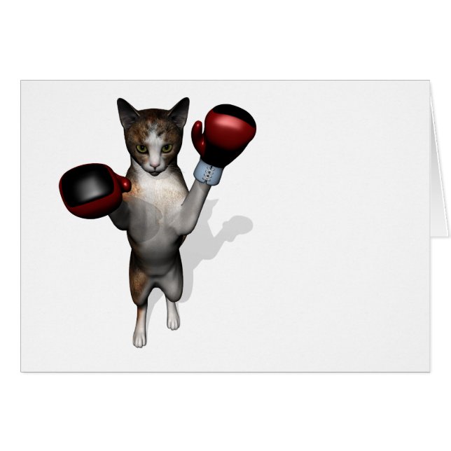 Tabby Boxer (Devant horizontal)