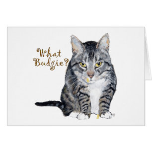 Tabby Cat Asks: What Budgie?