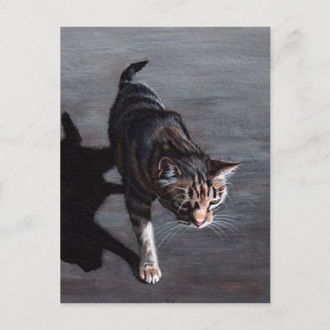 Tabby Cat au soleil avec carte postale ombre (Devant)