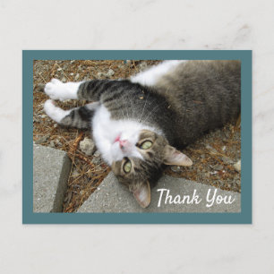 Tabby Cat avec Dreamy Eyes Merci Carte postale