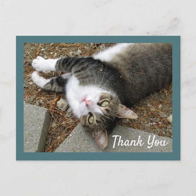 Tabby Cat avec Dreamy Eyes Merci Carte postale (Devant)