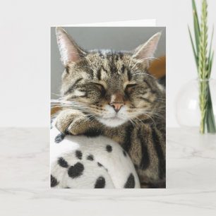 TABBY CAT BIRTHDAY CARD