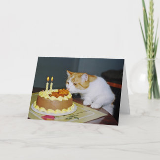 Tabby Cat Birthday Greeting Card