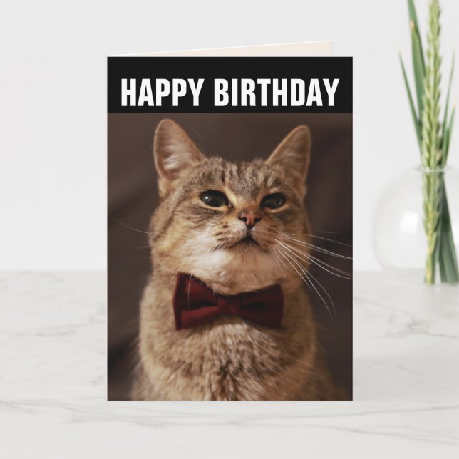 TABBY CAT BOW TIE BIRTHDAY GREETING CARD (Front)