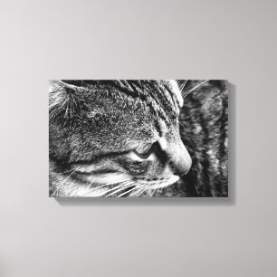 Tabby Cat Canvas Print