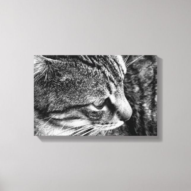 Tabby Cat Canvas Print (Front)