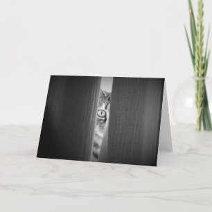 Tabby Cat, card
