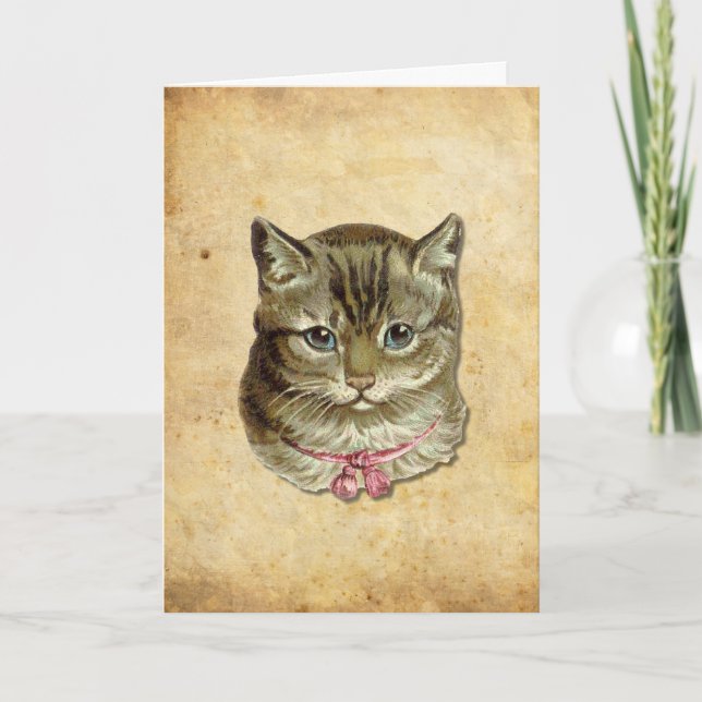 Tabby cat card (Front)