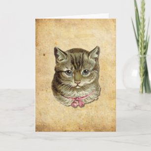Tabby cat card
