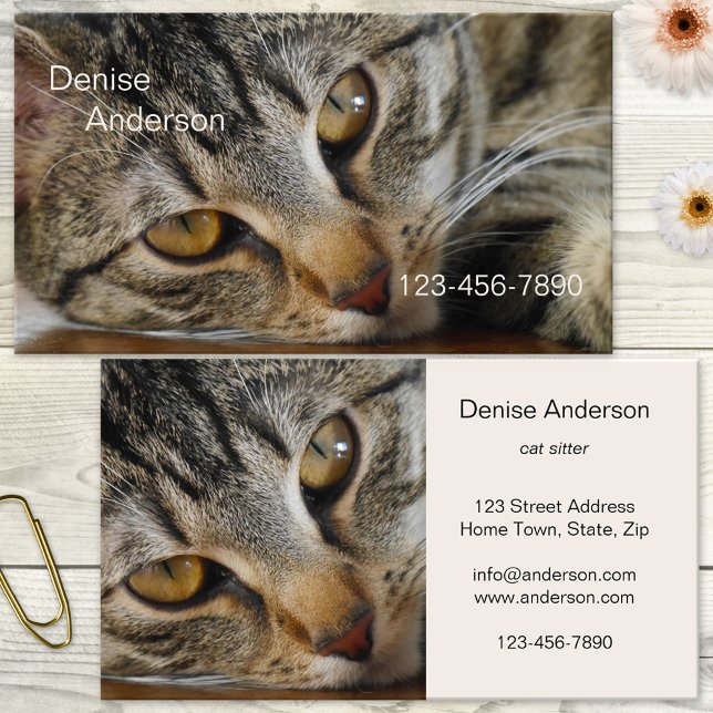Tabby Cat - Carte de visite de sitter de chat (Business card featuring a lovely tabby cat. Great for a cat sitter, cat rescue, animal shelter)