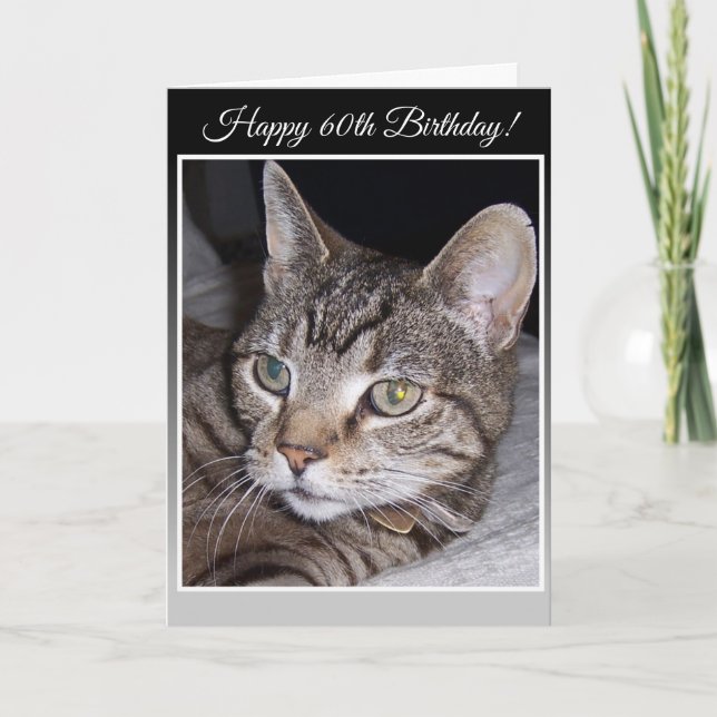Tabby Cat Carte de voeux personnalisée 60e anniver (Devant)