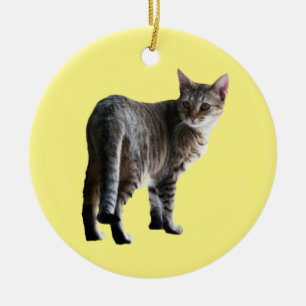 Tabby Cat Ceramic Ornament