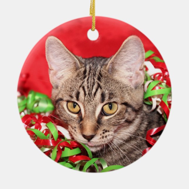 Tabby cat Christmas Ceramic Ornament (Back)