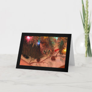 Tabby Cat Christmas Tree card