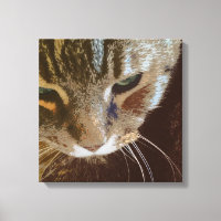 Tabby Cat Close Up Wrapped Canvas