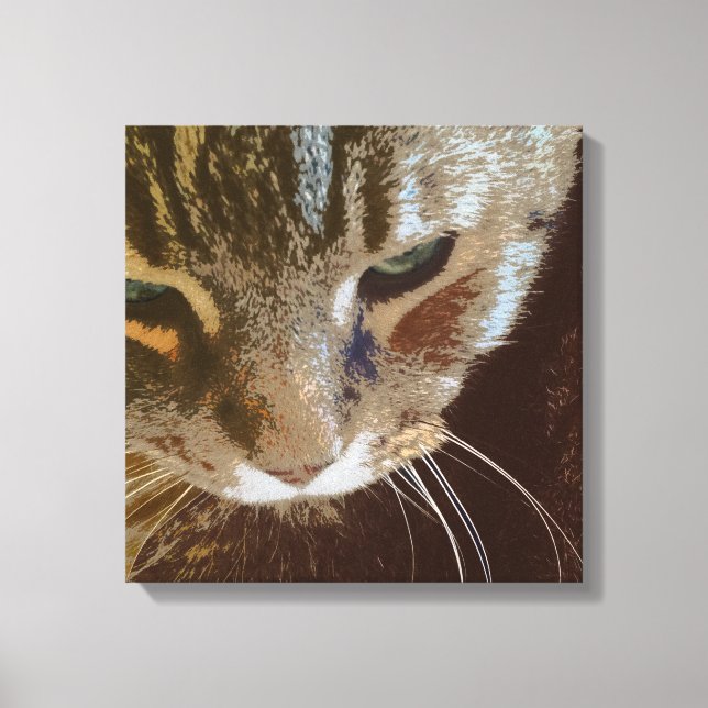 Tabby Cat Close Up Wrapped Canvas (Front)