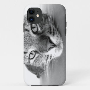 Tabby cat closeup iphone case