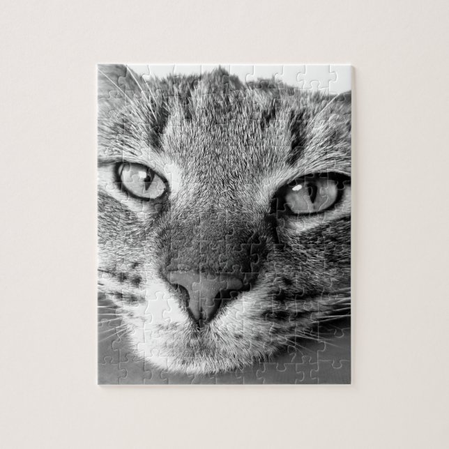 TABBY CAT CLOSEUP PUZZLE (Vertical)