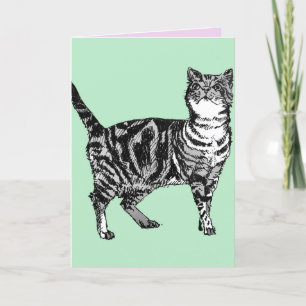 Tabby Cat Cute Cats Pink Art Dessin Carte Annivers
