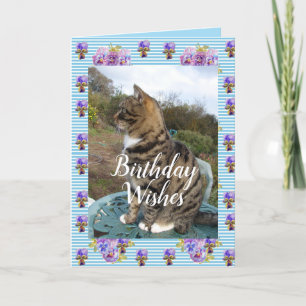 Tabby Cat Cute Stripé Chats floral Carte d'anniver