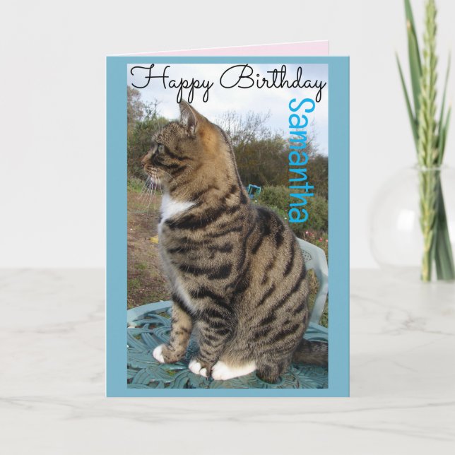 Tabby Cat Cute Striped Cats Birthday Card (Front)