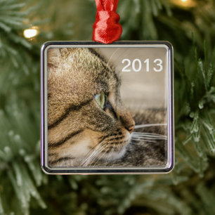 Tabby Cat Face Close-up Metal Ornament
