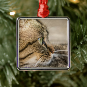Tabby Cat Face Close-up Metal Ornament