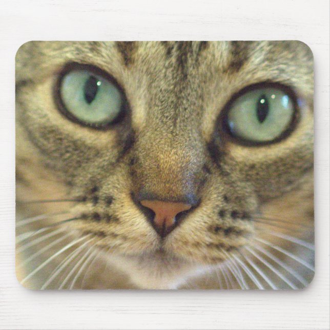 Tabby Cat Face Close Up Mouse Pad (Front)
