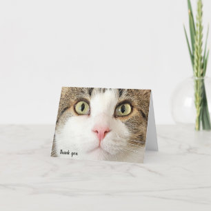 tabby cat face thank you card