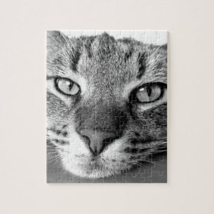 TABBY CAT FERMER PUZZLE