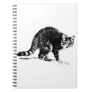 Tabby Cat Full‑Body Monochrome Portrait Notebook
