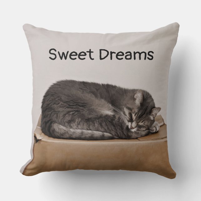 Tabby Cat Gray Sleeping On Box Throw Pillow (Front)