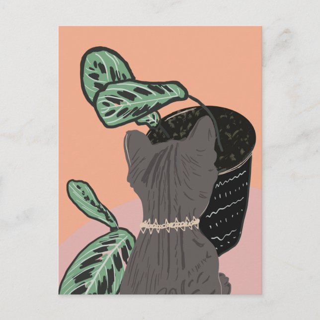 Tabby Cat Grey Plants Thank You  Postcard (Front)