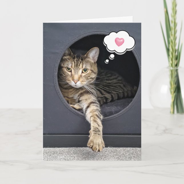 Tabby Cat In Box For Thinking of You Card (Front)