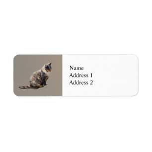 Tabby Cat in Shades of Brown