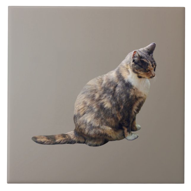 Tabby Cat in Shades of Brown Tile (Front)