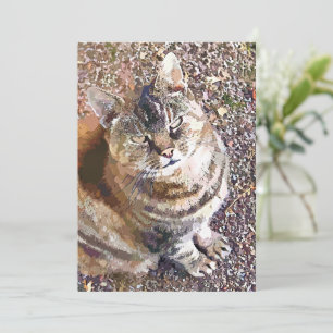 TABBY CAT INVITATION