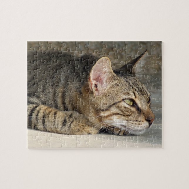 Tabby Cat Jigsaw Jigsaw Puzzle (Horizontal)