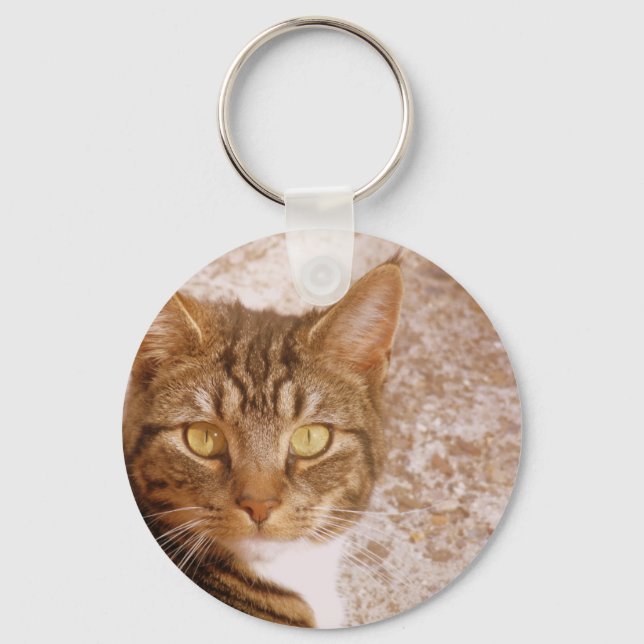 Tabby Cat Keychain (Front)
