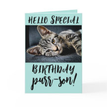 TABBY CAT KITTEN BIRTHDAY GREETING CARDS