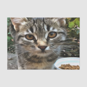 Tabby Cat Kitten Making Eye Contact Tissue Paper
