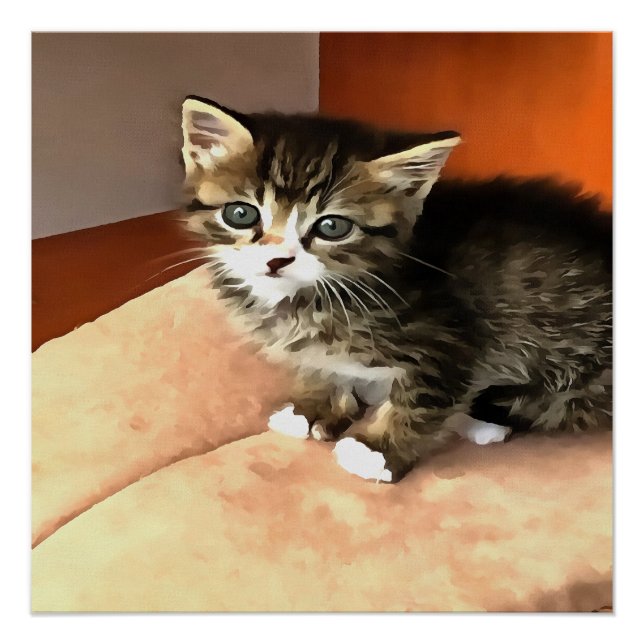 Tabby Cat Kitten Pet Portrait Poster (Front)